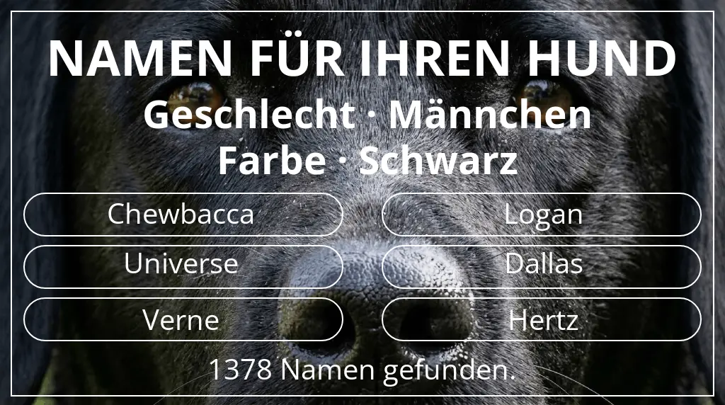 Hundenamen basierend auf geschlecht männchen und farbe schwarz