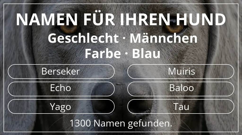 Namen für Hunde basierend auf geschlecht männchen und farbe blau