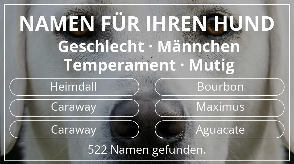 Namen für Hunde inspiriert von geschlecht männchen und temperament mutig
