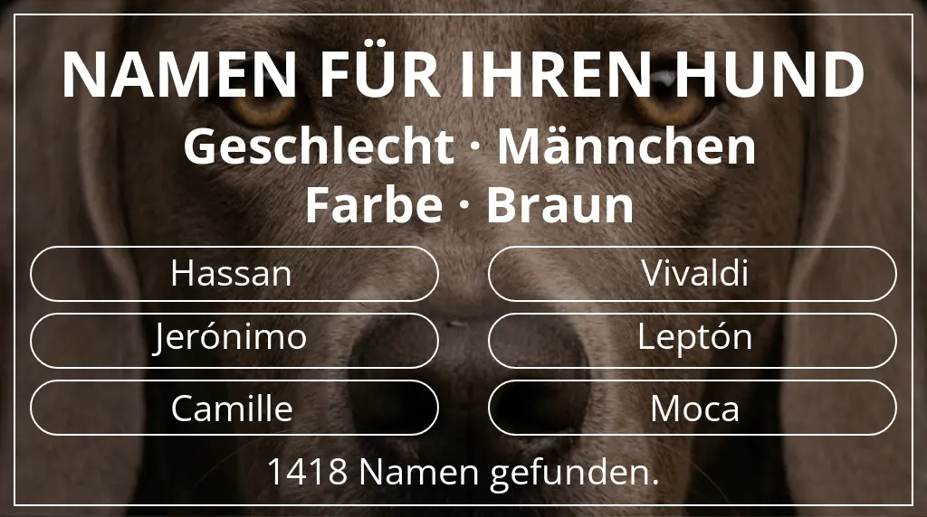 Hundenamen inspiriert von geschlecht männchen und farbe braun