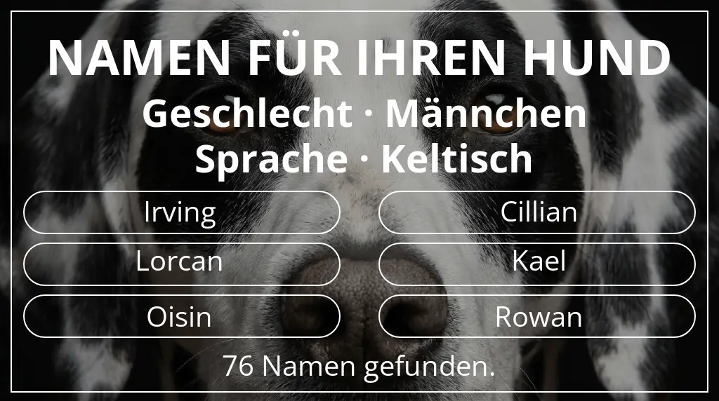 Hundenamen basierend auf geschlecht männchen und sprache keltisch