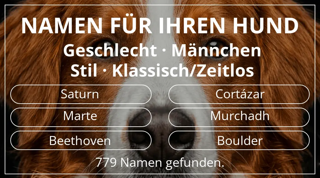 Hundenamen basierend auf geschlecht männchen und stil klassisch/zeitlos