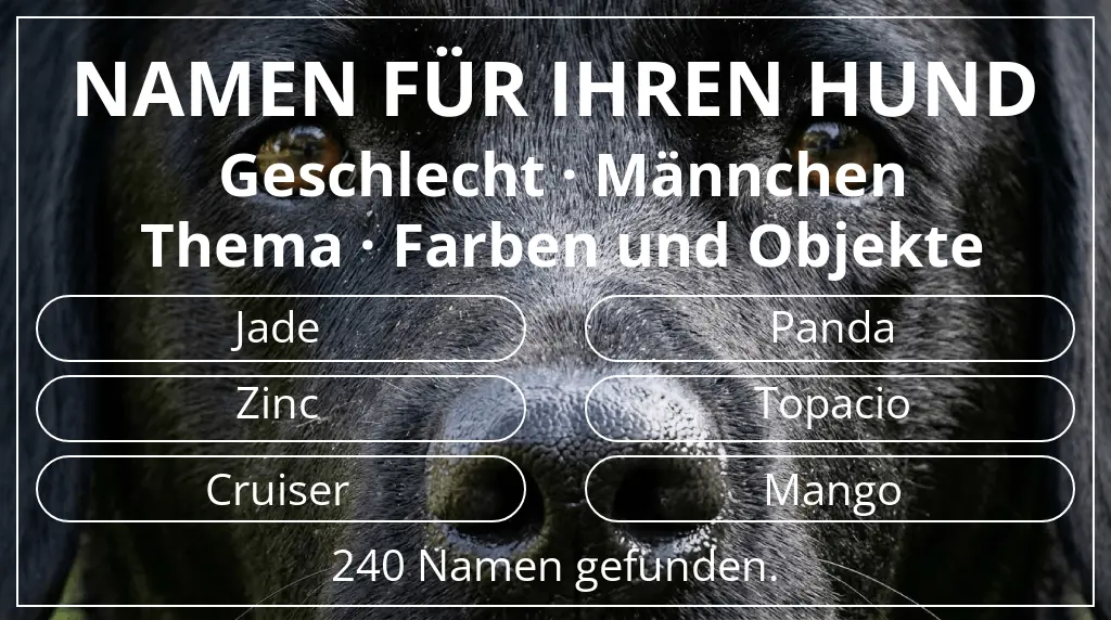 Namen für Hunde basierend auf geschlecht männchen und thema farben und objekte