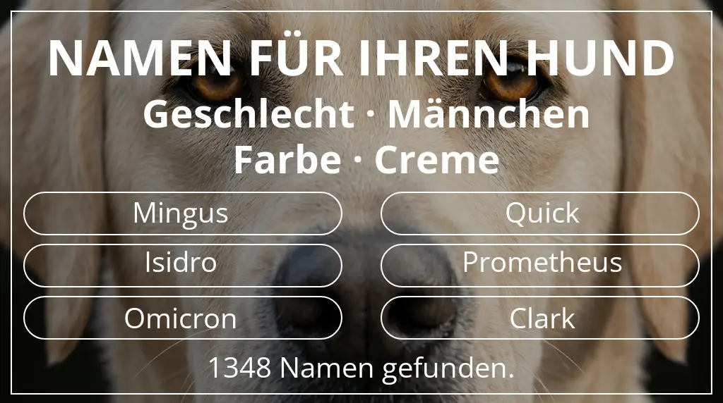 Hundenamen inspiriert von geschlecht männchen und farbe creme