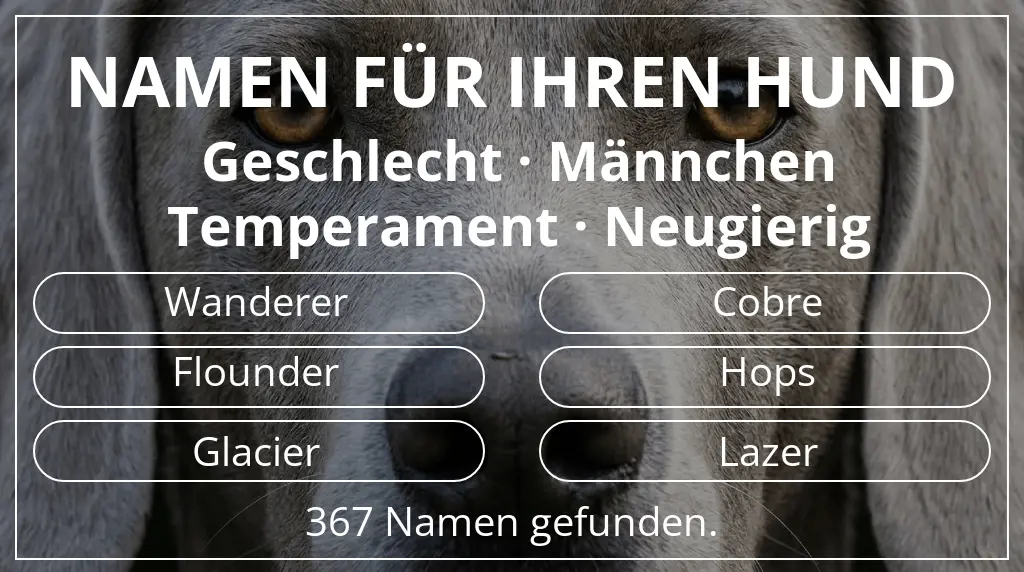 Namen für Hunde inspiriert von geschlecht männchen und temperament neugierig