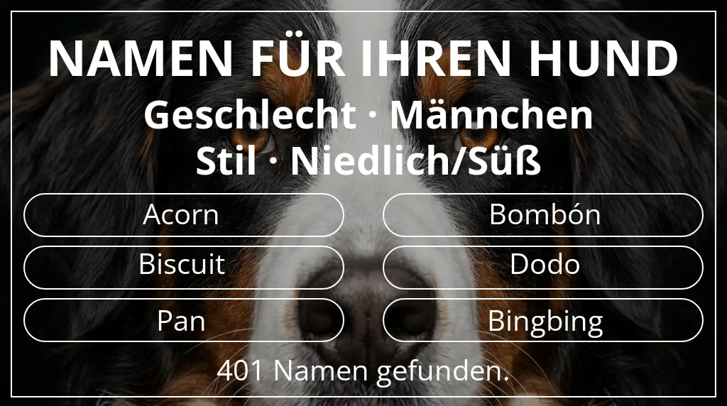 Namen für Hunde inspiriert von geschlecht männchen und stil niedlich/süß