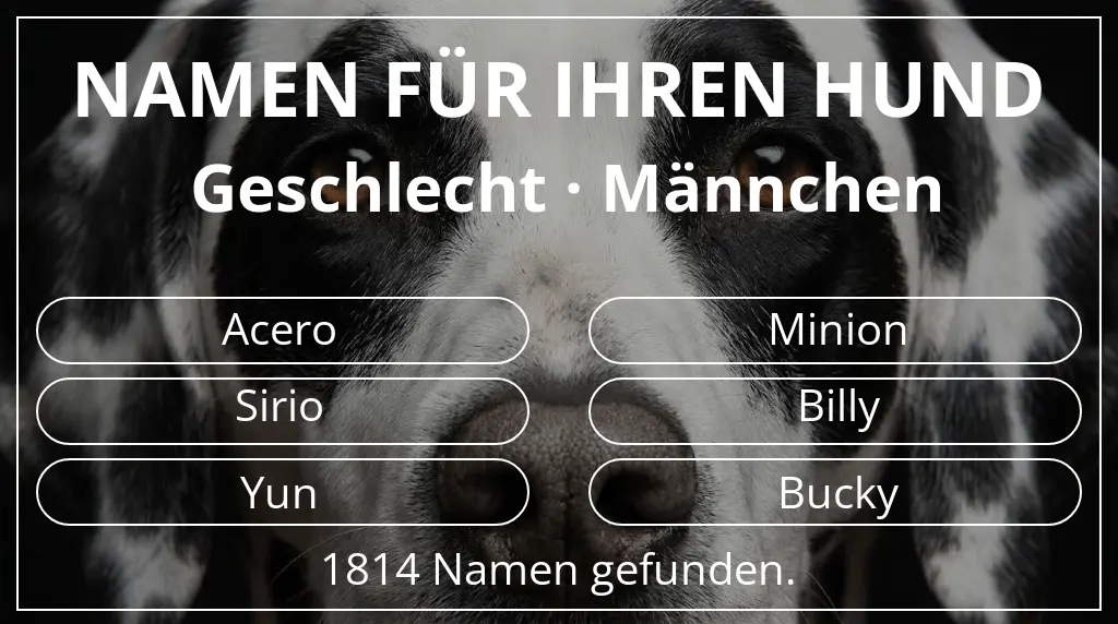 Hundenamen basierend auf geschlecht männchen