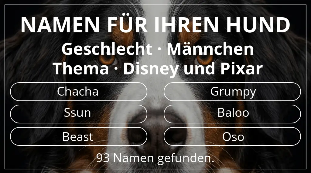 Hundenamen basierend auf geschlecht männchen und thema disney und pixar