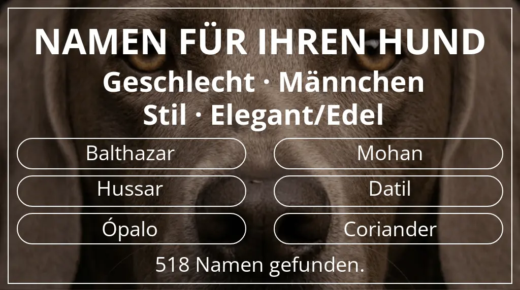 Hundenamen inspiriert von geschlecht männchen und stil elegant/edel