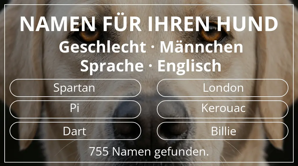 Namen für Hunde basierend auf geschlecht männchen und sprache englisch