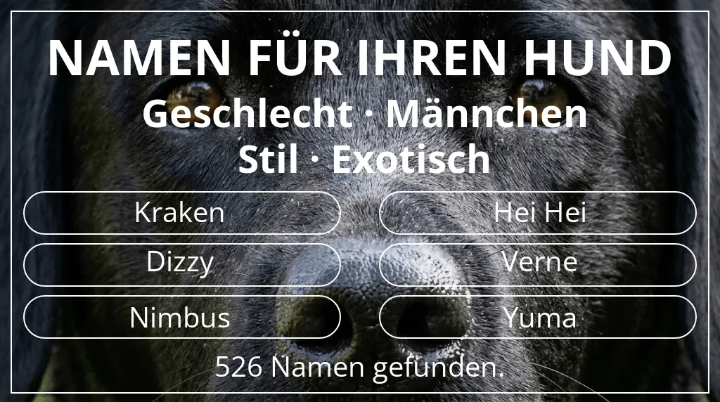 Namen für Hunde inspiriert von geschlecht männchen und stil exotisch