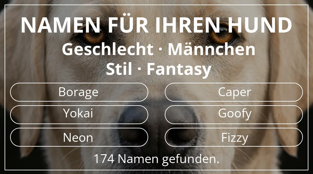 Namen für Hunde inspiriert von geschlecht männchen und stil fantasy