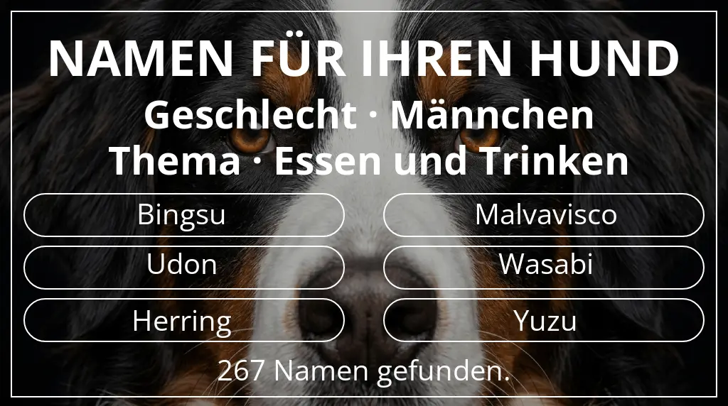 Hundenamen basierend auf geschlecht männchen und thema essen und trinken