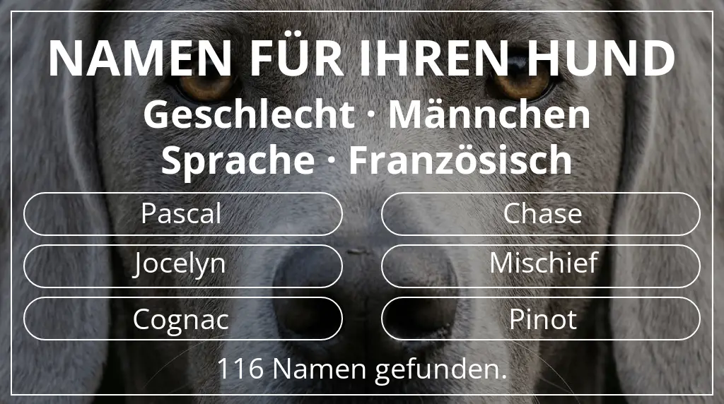 Namen für Hunde basierend auf geschlecht männchen und sprache französisch