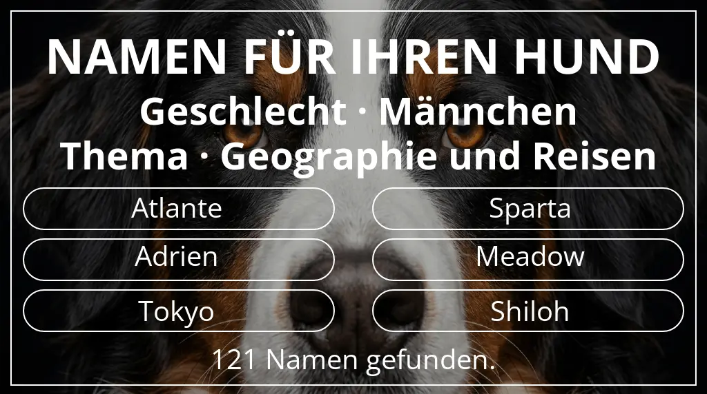 Namen für Hunde inspiriert von geschlecht männchen und thema geographie und reisen