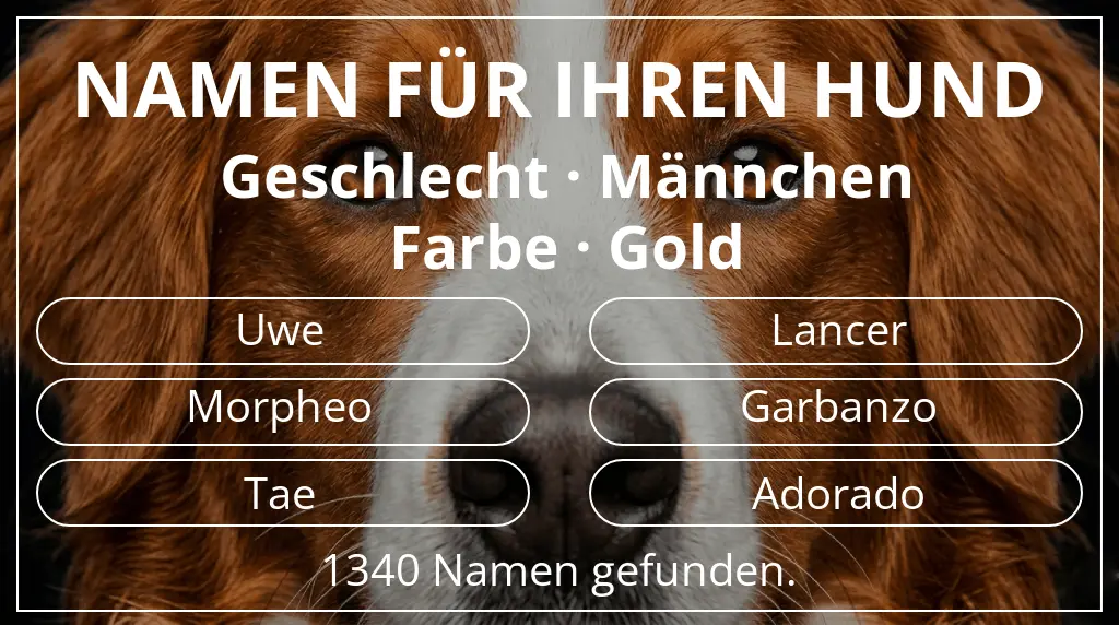 Hundenamen basierend auf geschlecht männchen und farbe gold