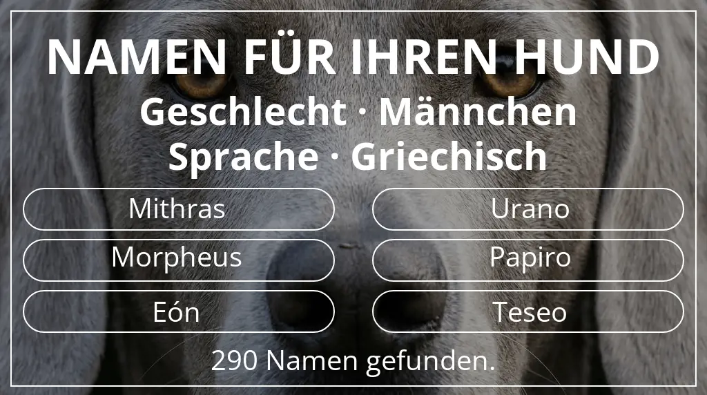 Hundenamen inspiriert von geschlecht männchen und sprache griechisch