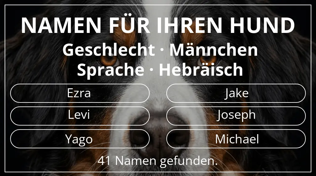 Namen für Hunde inspiriert von geschlecht männchen und sprache hebräisch