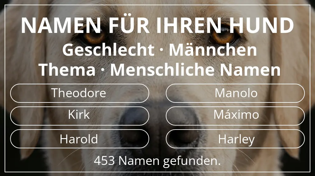 Hundenamen inspiriert von geschlecht männchen und thema menschliche namen