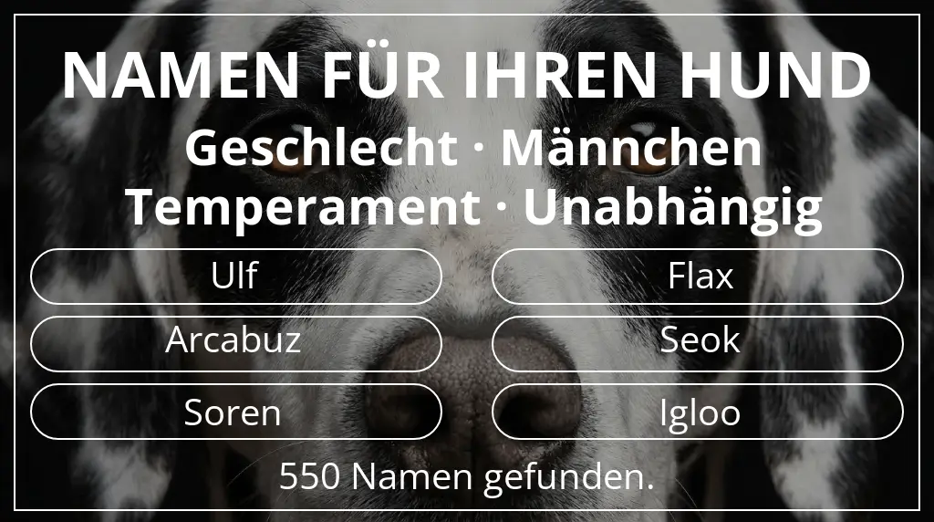 Namen für Hunde inspiriert von geschlecht männchen und temperament unabhängig