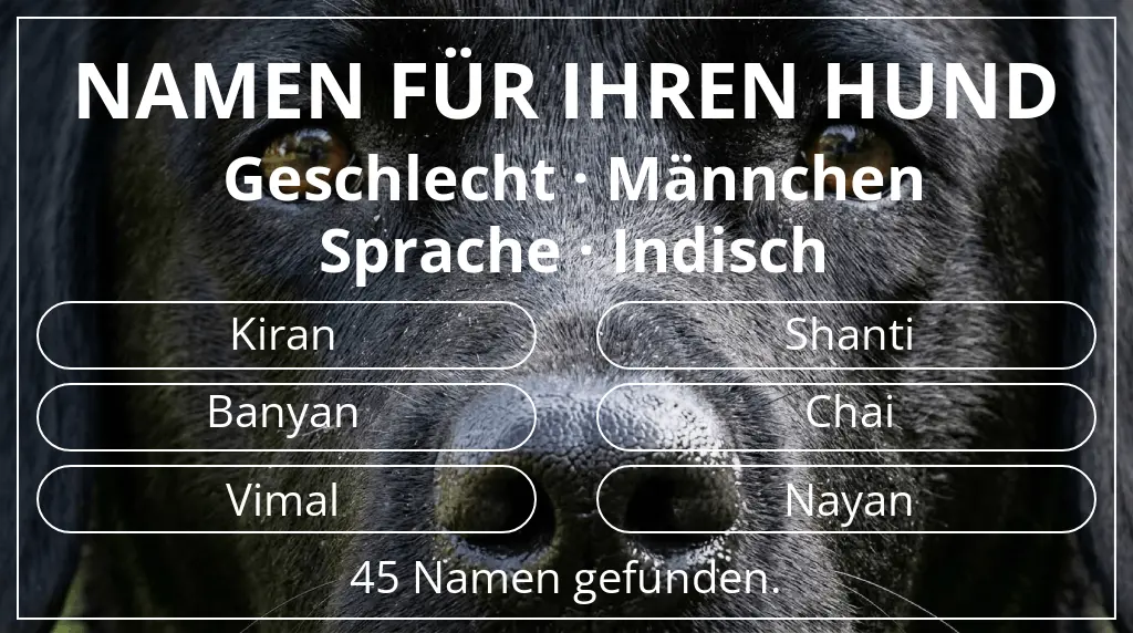 Namen für Hunde inspiriert von geschlecht männchen und sprache indisch