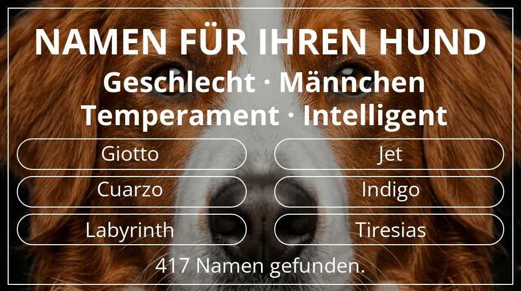 Hundenamen basierend auf geschlecht männchen und temperament intelligent