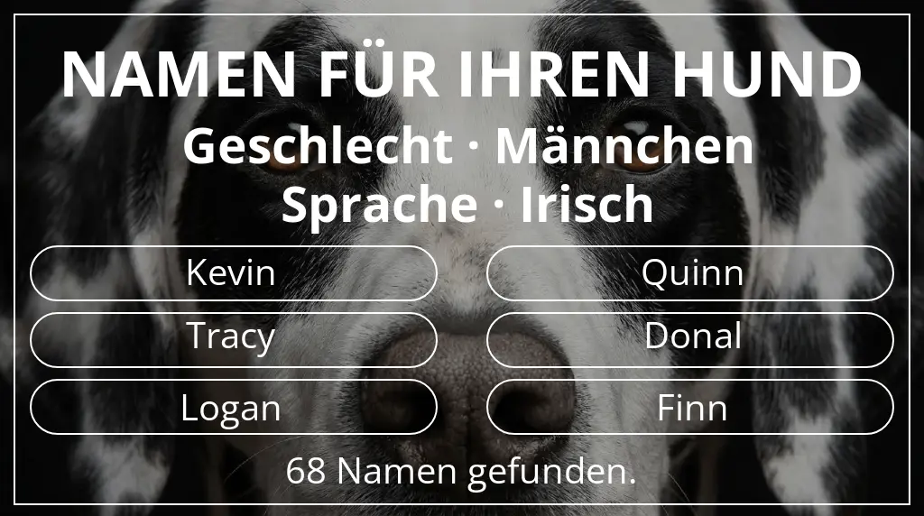 Namen für Hunde basierend auf geschlecht männchen und sprache irisch