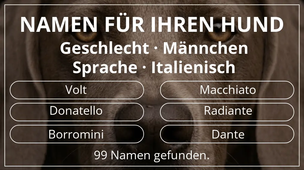 Namen für Hunde inspiriert von geschlecht männchen und sprache italienisch