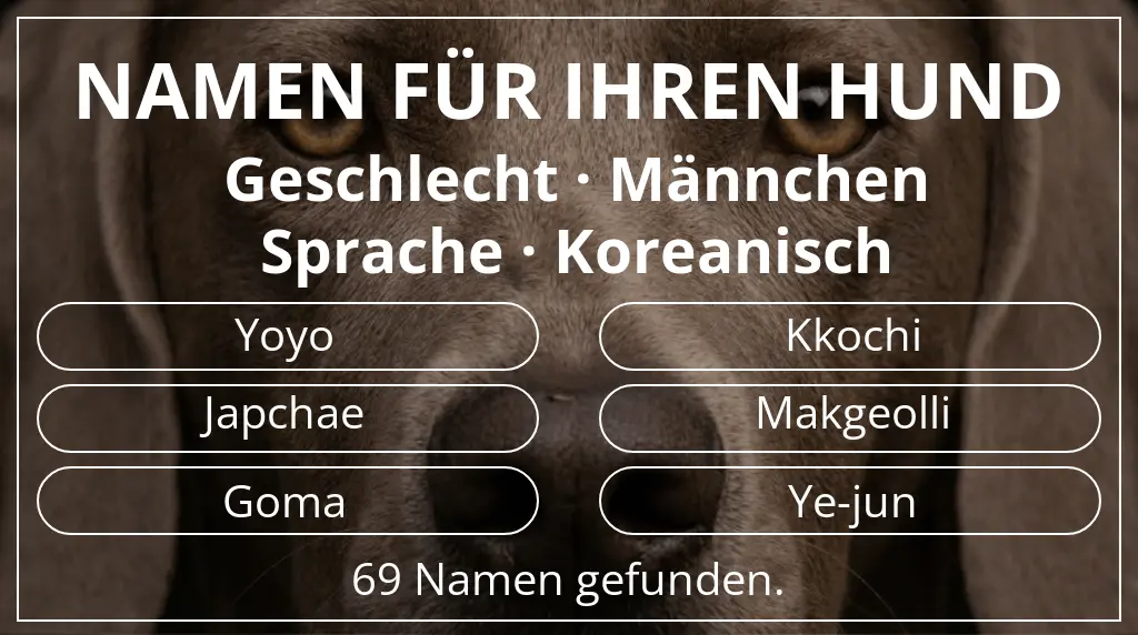 Hundenamen inspiriert von geschlecht männchen und sprache koreanisch