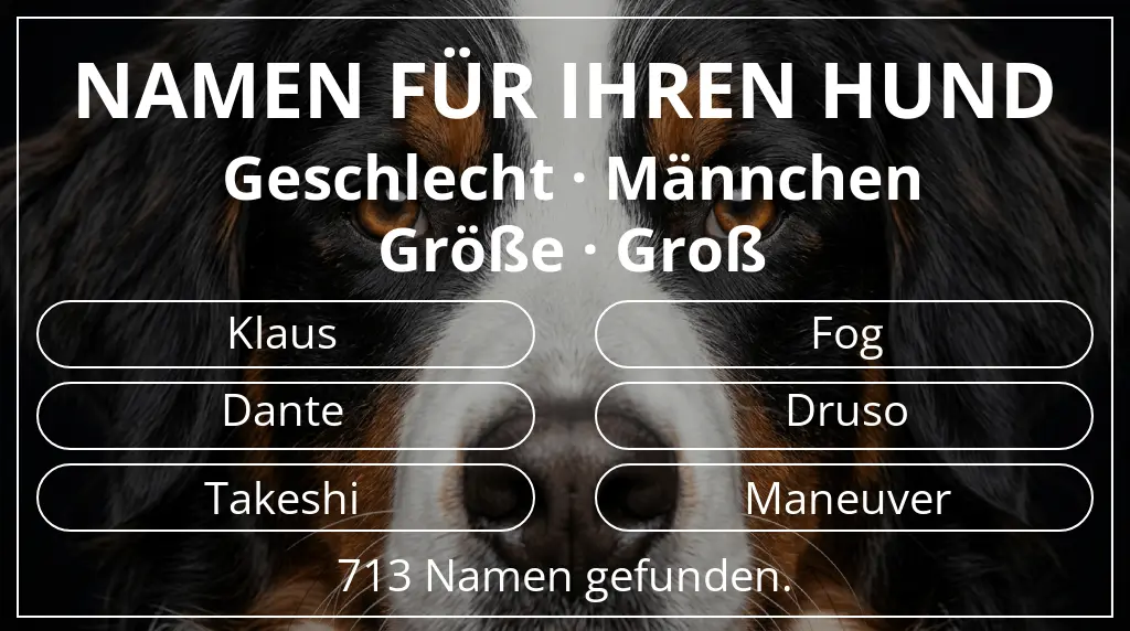 Hundenamen inspiriert von geschlecht männchen und größe groß