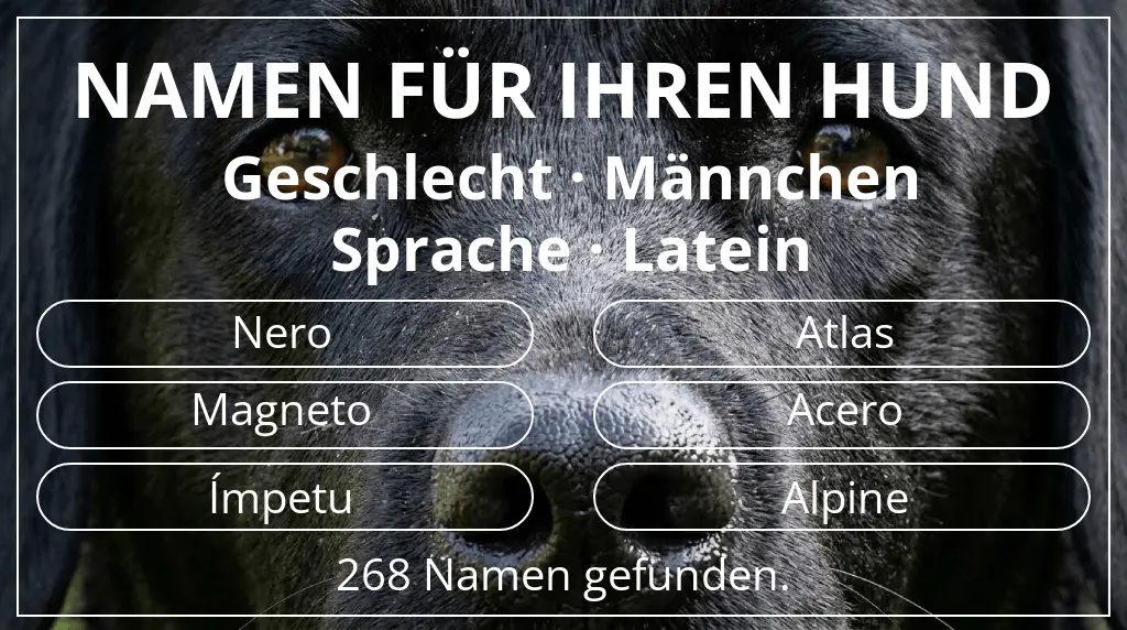 Namen für Hunde basierend auf geschlecht männchen und sprache latein