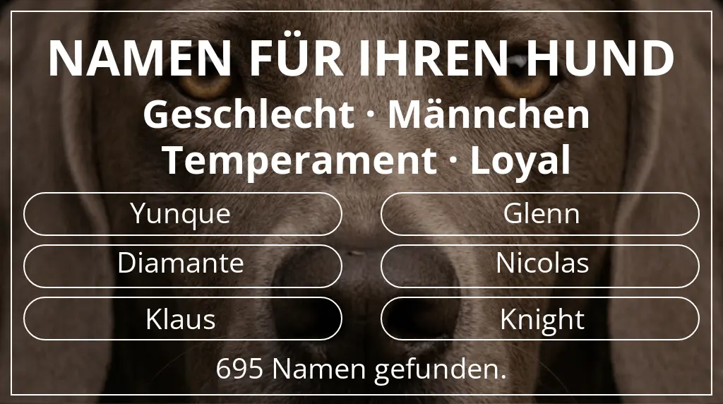 Hundenamen basierend auf geschlecht männchen und temperament loyal