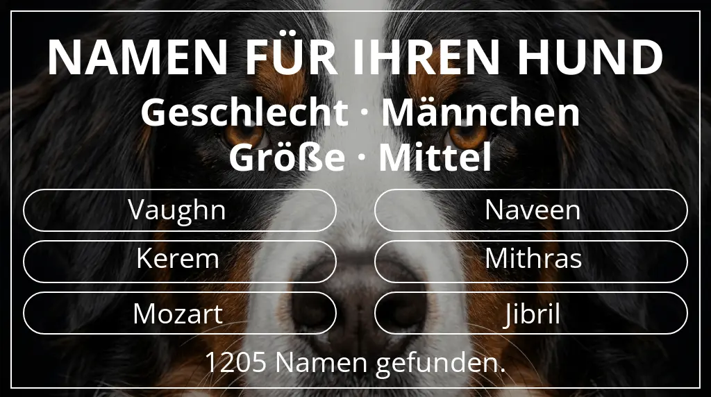Hundenamen basierend auf geschlecht männchen und größe mittel