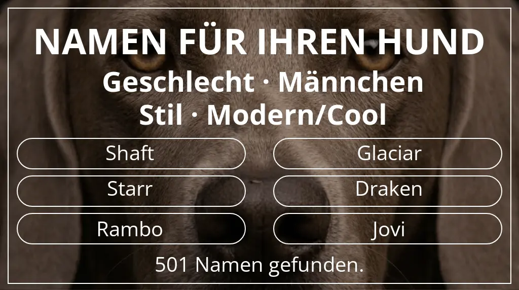 Namen für Hunde inspiriert von geschlecht männchen und stil modern/cool