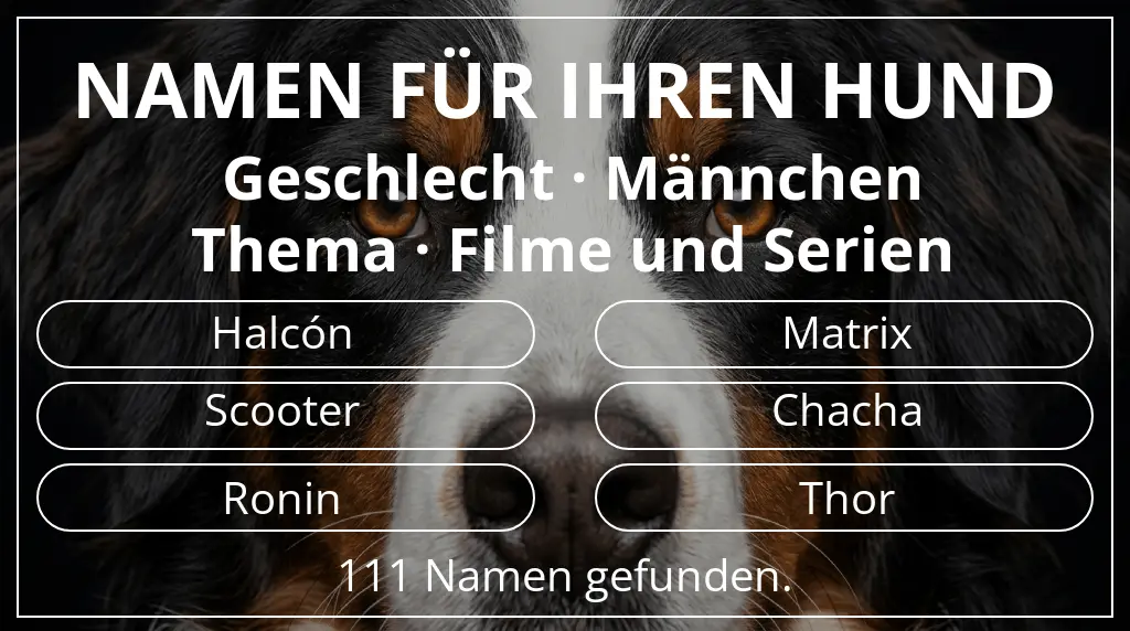 Hundenamen inspiriert von geschlecht männchen und thema filme und serien