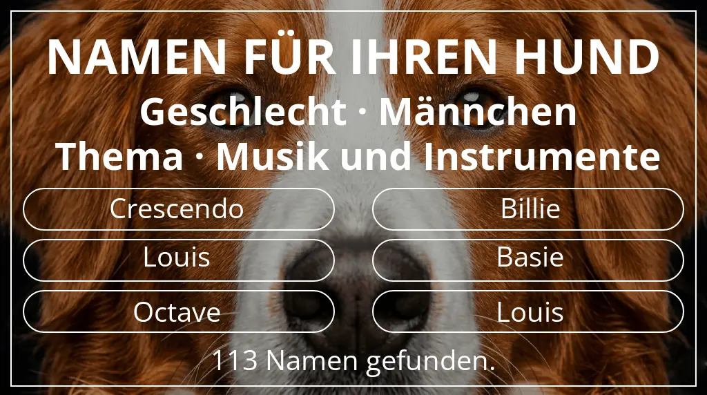 Namen für Hunde basierend auf geschlecht männchen und thema musik und instrumente