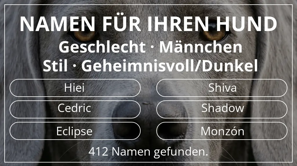 Namen für Hunde inspiriert von geschlecht männchen und stil geheimnisvoll/dunkel