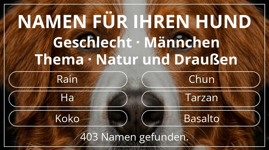 Hundenamen basierend auf geschlecht männchen und thema natur und draußen