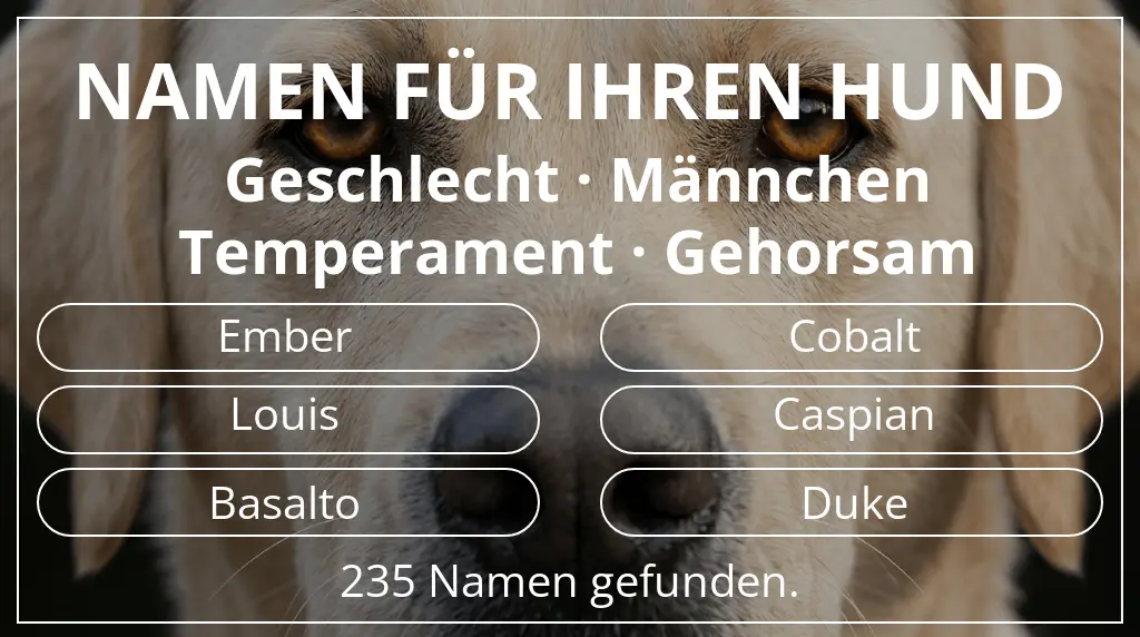 Namen für Hunde basierend auf geschlecht männchen und temperament gehorsam