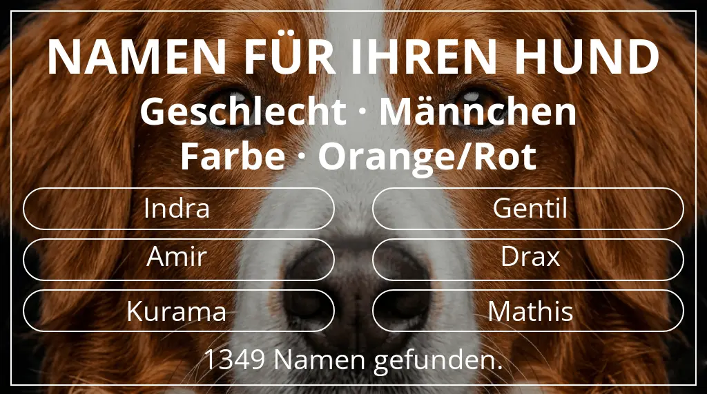 Namen für Hunde basierend auf geschlecht männchen und farbe orange/rot