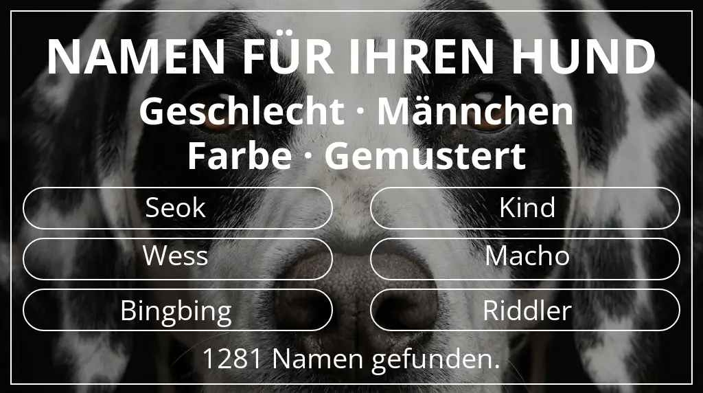 Namen für Hunde inspiriert von geschlecht männchen und farbe gemustert