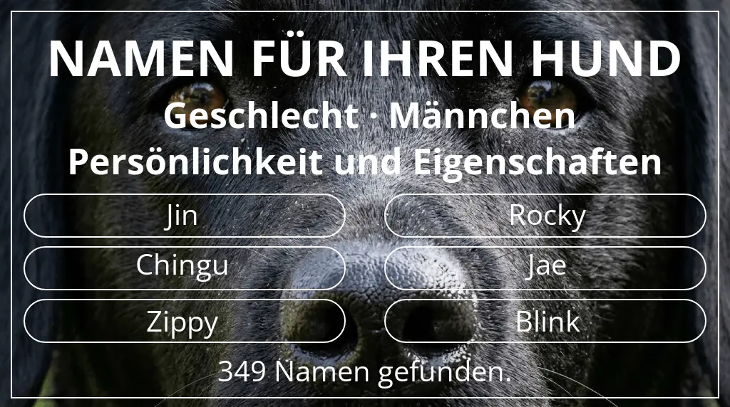 Namen für Hunde inspiriert von geschlecht männchen und thema persönlichkeit und eigenschaften
