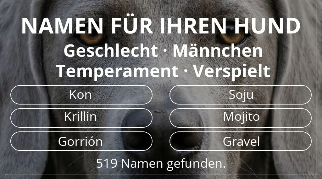 Hundenamen basierend auf geschlecht männchen und temperament verspielt