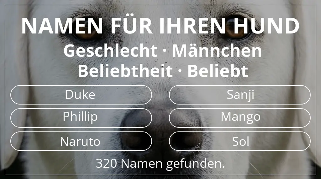 Hundenamen basierend auf geschlecht männchen und beliebtheit beliebt