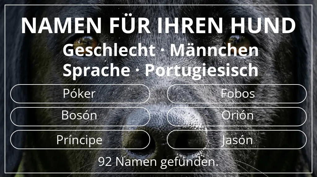 Hundenamen inspiriert von geschlecht männchen und sprache portugiesisch