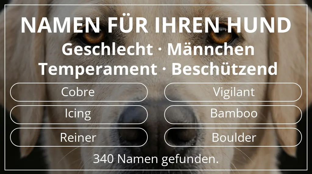 Hundenamen inspiriert von geschlecht männchen und temperament beschützend