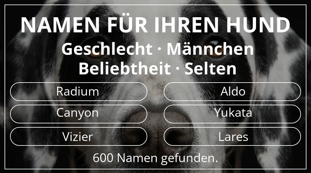 Namen für Hunde basierend auf geschlecht männchen und beliebtheit selten