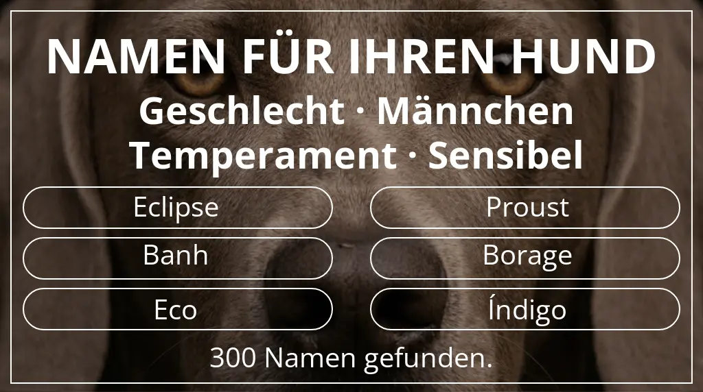 Hundenamen basierend auf geschlecht männchen und temperament sensibel