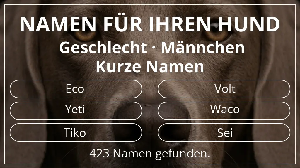 Namen für Hunde basierend auf geschlecht männchen und namenslänge kurz (2–4)
