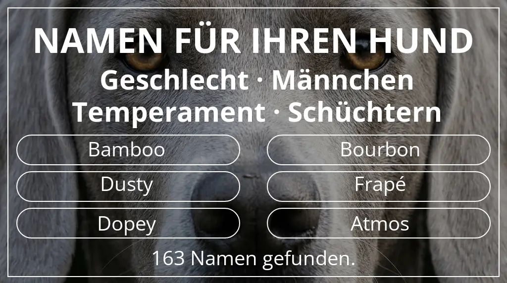 Hundenamen inspiriert von geschlecht männchen und temperament schüchtern